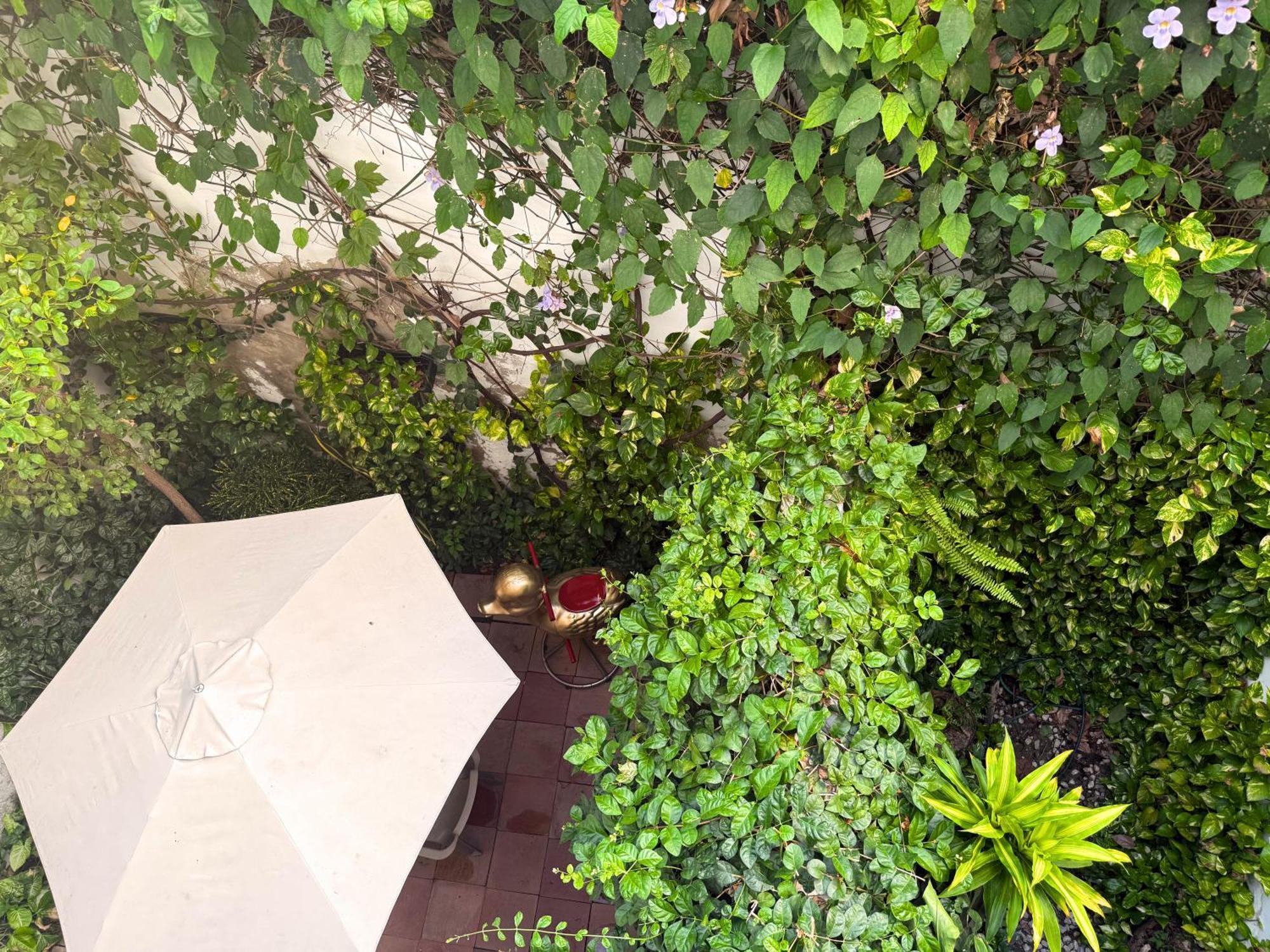 Casa Bugambilia - Alma Hotels Σάντα Μάρτα Εξωτερικό φωτογραφία